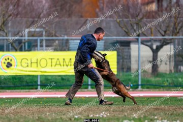IMG_6681.jpg