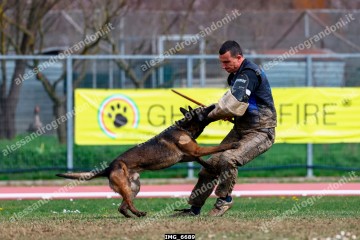 IMG_6689.jpg