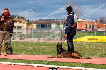 IMG_6839.jpg