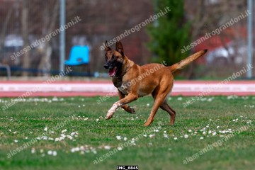 IMG_6845.jpg