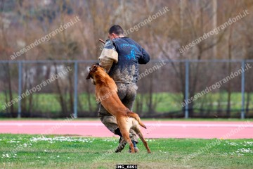 IMG_6891.jpg