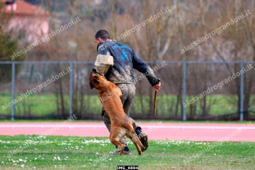 IMG_6894.jpg