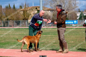 IMG_7168.jpg