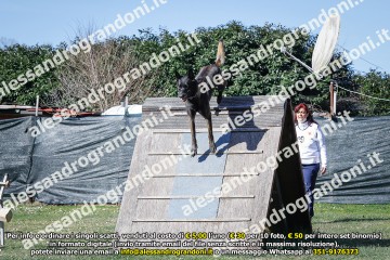 _21A0508.jpg