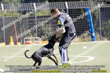 IMG_0125.jpg