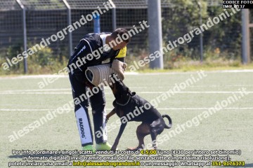 IMG_0137.jpg
