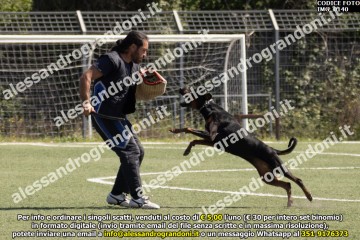 IMG_0140.jpg