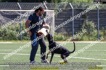 IMG_0155.jpg