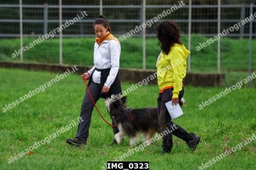 IMG_0323.jpg