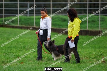 IMG_0327.jpg