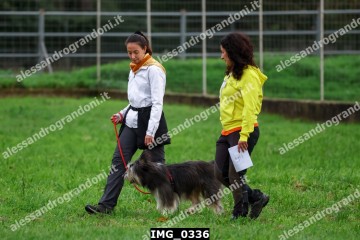 IMG_0336.jpg