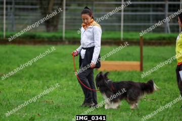 IMG_0341.jpg