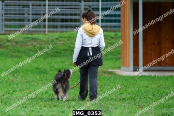 IMG_0353.jpg