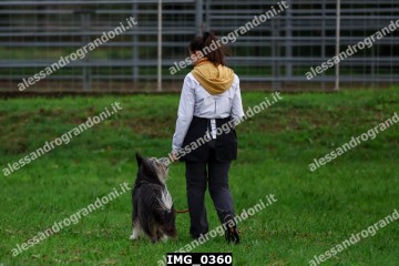 IMG_0360.jpg