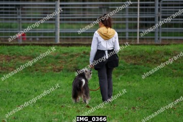 IMG_0366.jpg
