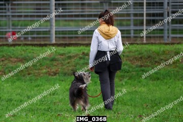 IMG_0368.jpg