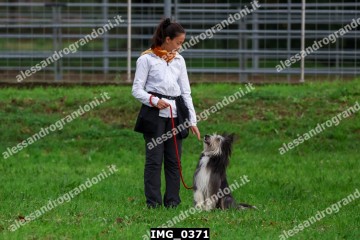 IMG_0371.jpg