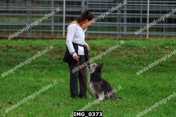 IMG_0373.jpg
