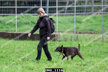 IMG_1116.jpg