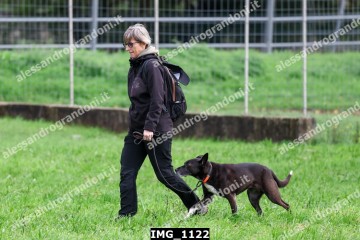 IMG_1122.jpg