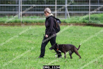 IMG_1134.jpg