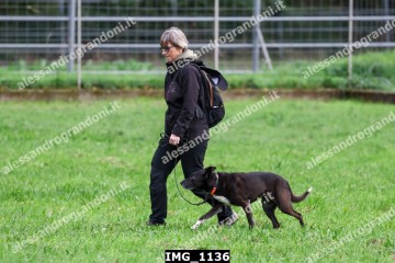 IMG_1136.jpg