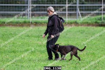 IMG_1138.jpg