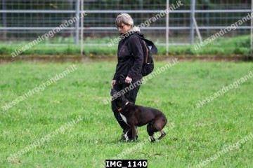 IMG_1140.jpg