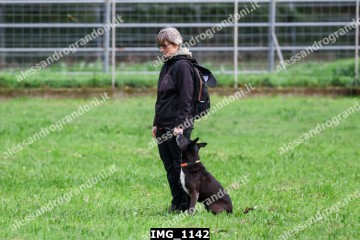 IMG_1142.jpg