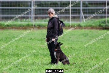 IMG_1144.jpg