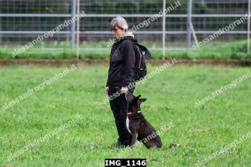 IMG_1146.jpg