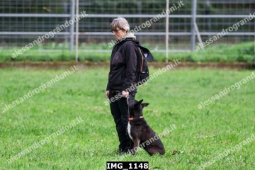 IMG_1148.jpg