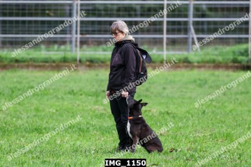 IMG_1150.jpg