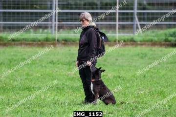 IMG_1152.jpg
