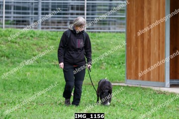IMG_1156.jpg