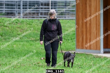 IMG_1161.jpg