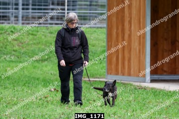 IMG_1171.jpg