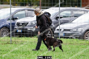 IMG_1192.jpg