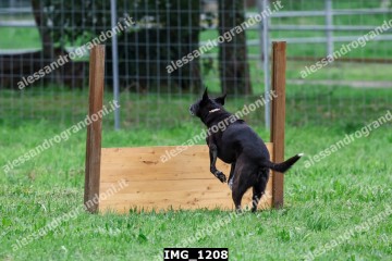 IMG_1208.jpg