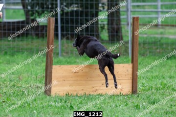 IMG_1212.jpg