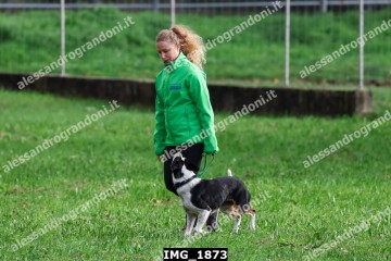 IMG_1873.jpg