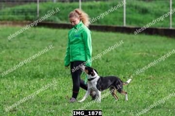 IMG_1878.jpg