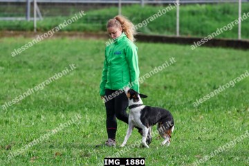 IMG_1880.jpg