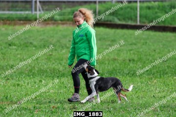 IMG_1883.jpg