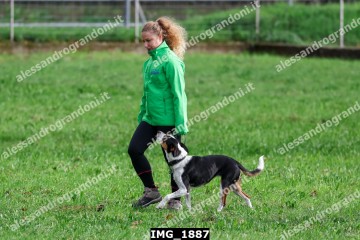 IMG_1887.jpg