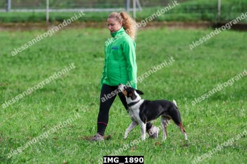 IMG_1890.jpg