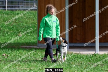 IMG_1894.jpg