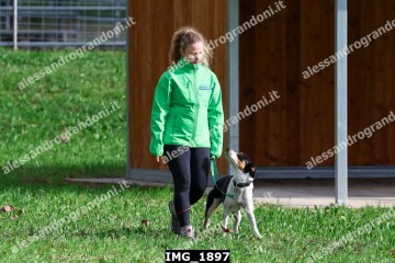 IMG_1897.jpg