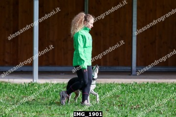 IMG_1901.jpg