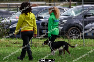 IMG_1912.jpg
